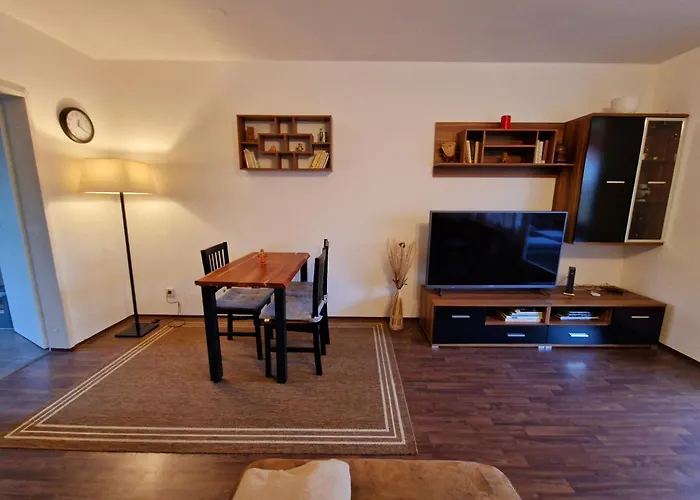 2-Zimmer Messe-Apartment Nbg-Langwasser 60Qm
